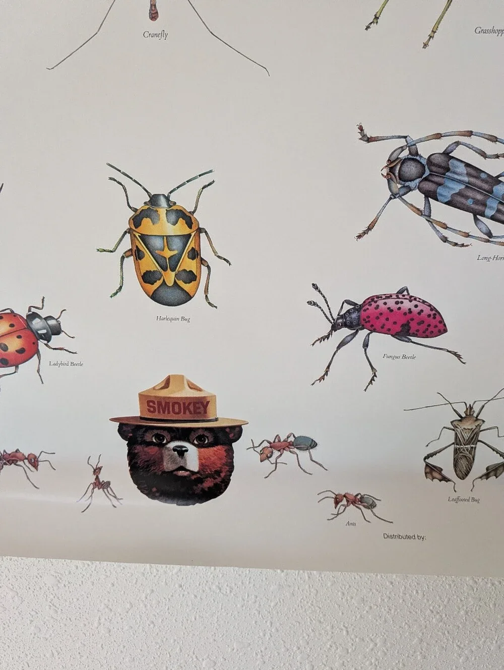 Vintage Insects Smokey Bear Poster 20x30